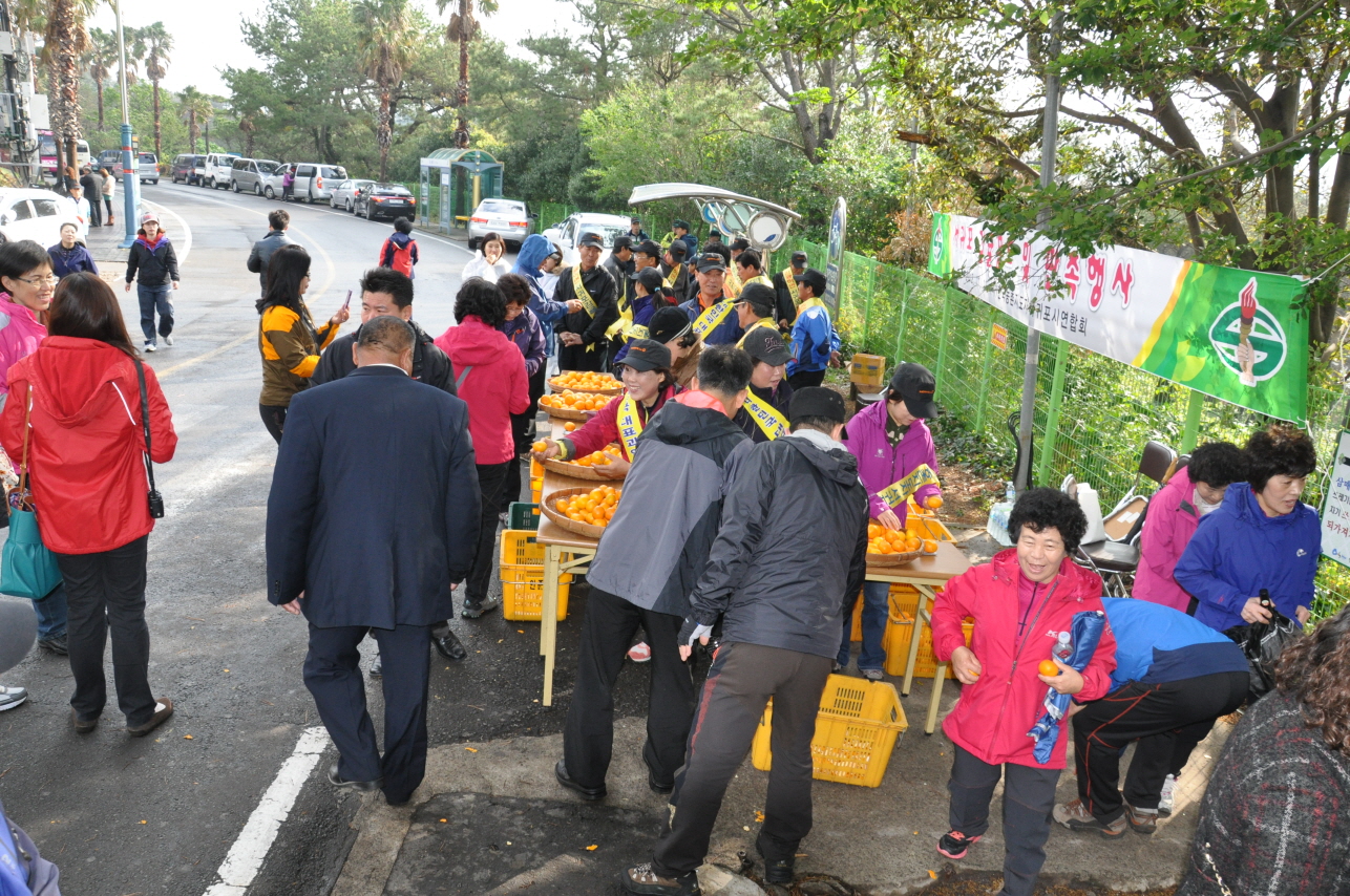 감귤 무료시식 및 판촉 홍보행사